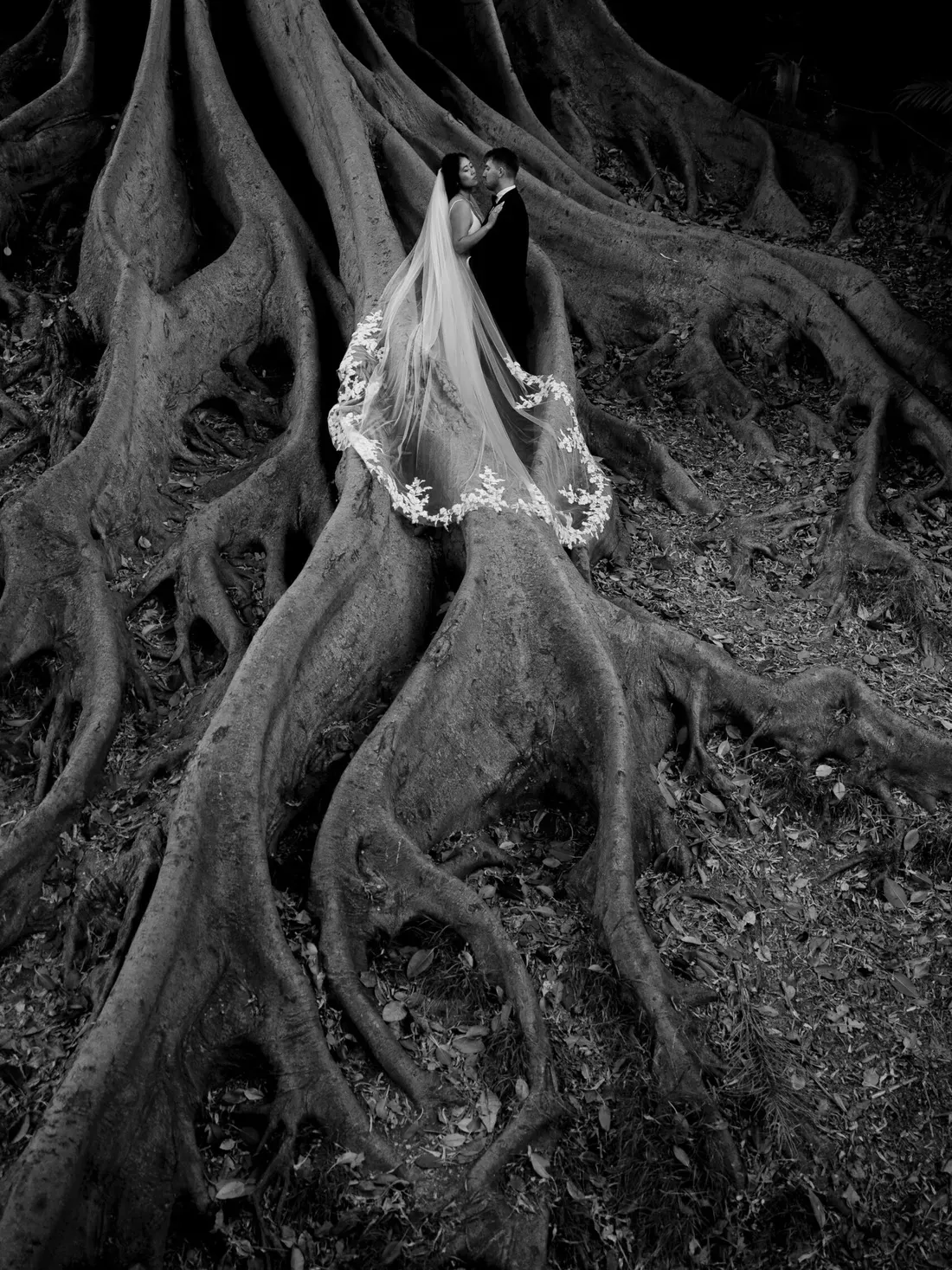 Two people in wedding attire embrace on massive tree roots in a forest; a long veil with floral trim surrounds them in a black-and-white photograph.