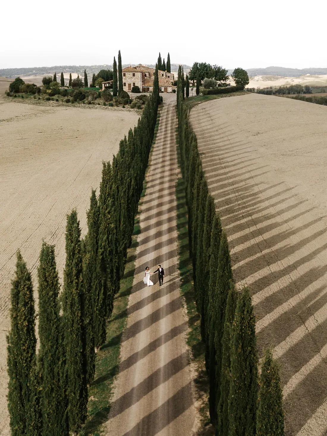 Cypress-lined Tuscan road leads to a villa; a couple walks the shaded path between tall trees and golden fields.