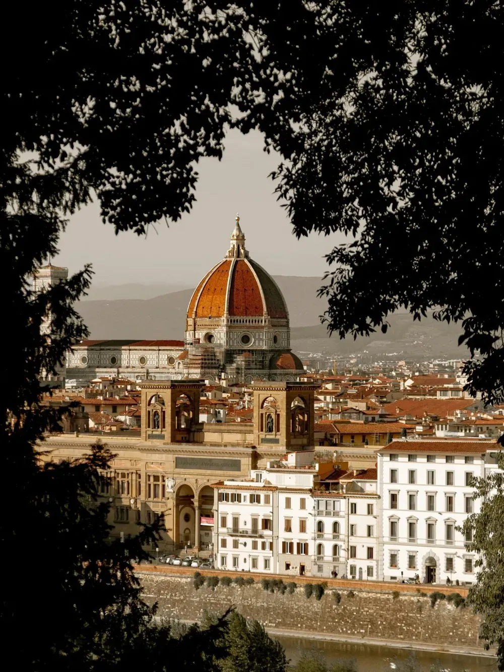 Florence cityscape in Italy, featuring the iconic red-domed Florence Cathedral framed by dark tree branches.