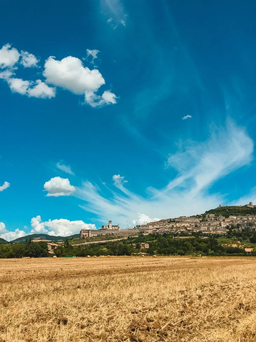 Golden field in the foreground with a hilltop Italian town of stone buildings and a fortress on the rise, under a bright blue sky with wispy clouds.