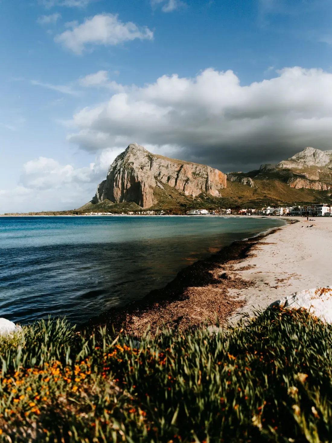 Coastal Italian landscape: blue sea, sandy beach, and a rugged hill; distant village along the shore, foreground wildflowers and grasses.
